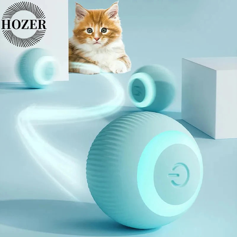Transforma la vida de tu gato hoy mismo.